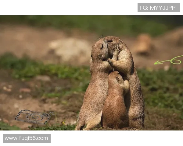 足球明星浪漫接吻瞬间曝光 激动时刻引发全球粉丝热议